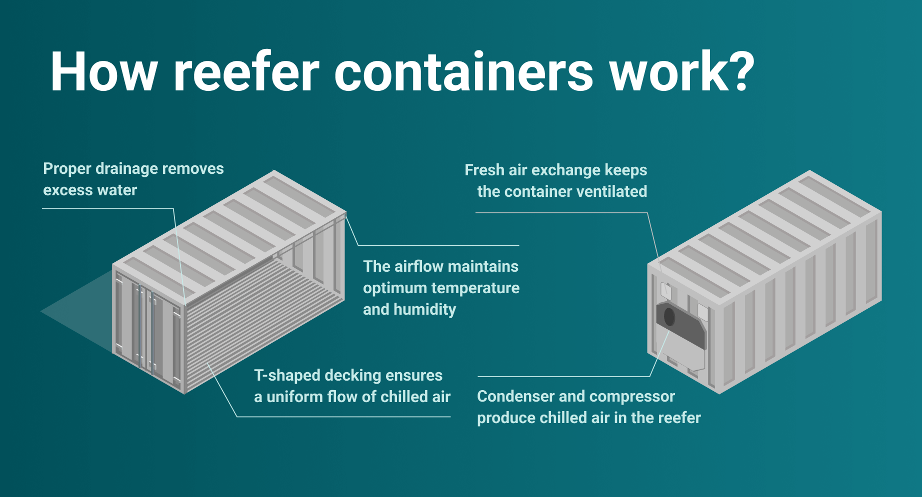 How reefer containers work 1